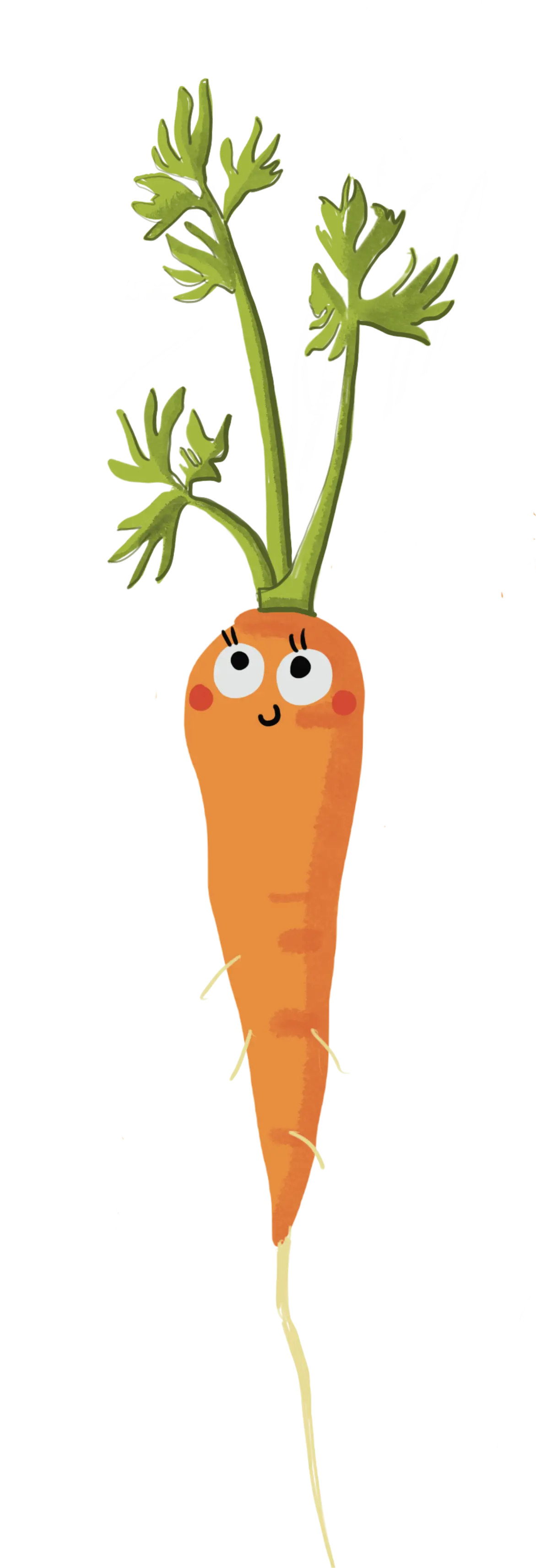 Carota illustrata da Valeria Salandin